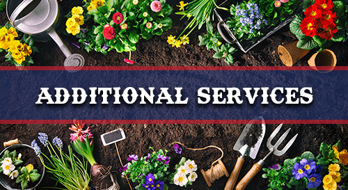 Additional Services