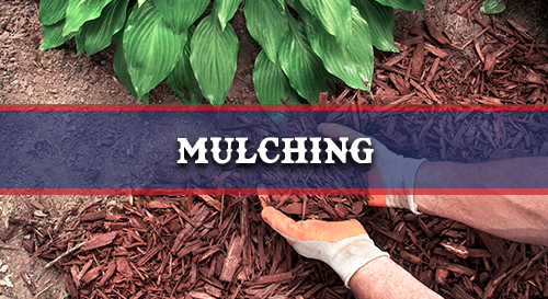 Mulching
